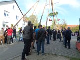 Maibaum_2016 (103).JPG